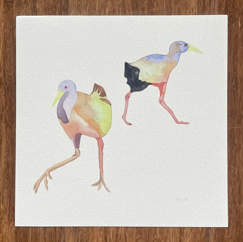 Gallinetas