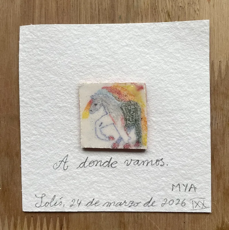 A dónde vamos XIX